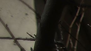 FBI oficinas Washington