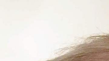 El expresidente Donald Trump y el senador Mitt Romney.