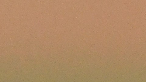 Juan Soto y el precio que exigen los Nacionales de Washington por él