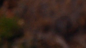 Siete latinos serán titulares en el Juego de Estrellas de la MLB