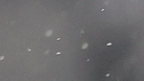 Joan Laporta le cierra la puerta del Barcelona a Robert Lewandowski