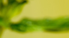 Limonada