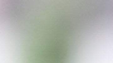 FMF no revela el motivo de la investigación a Maribel Domínguez