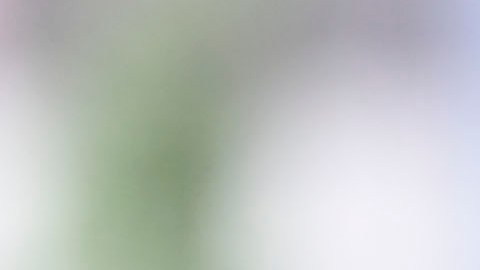 FMF no revela el motivo de la investigación a Maribel Domínguez