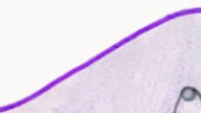 Google rinde homenaje a una víctima de Uvalde de 10 años con un Doodle que dibujó antes de morir