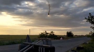Video: Avión ruso cae del cielo en llamas y explota en un campo tras ser alcanzado por un misil ucraniano