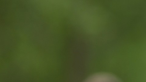 Vitality London 10,000