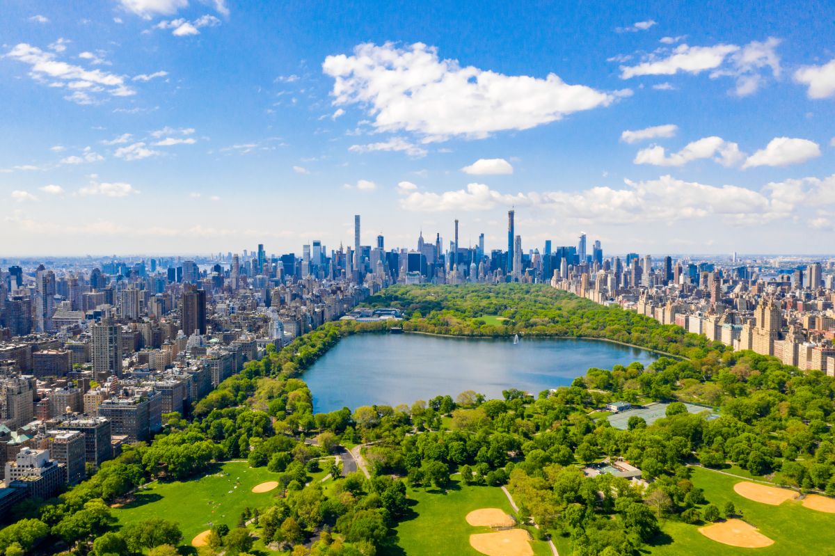 What are the most affordable and most expensive neighborhoods to rent in New York?