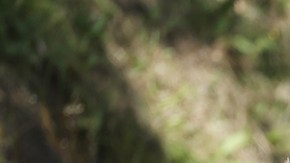 Tour de France 2022 - 16th stage