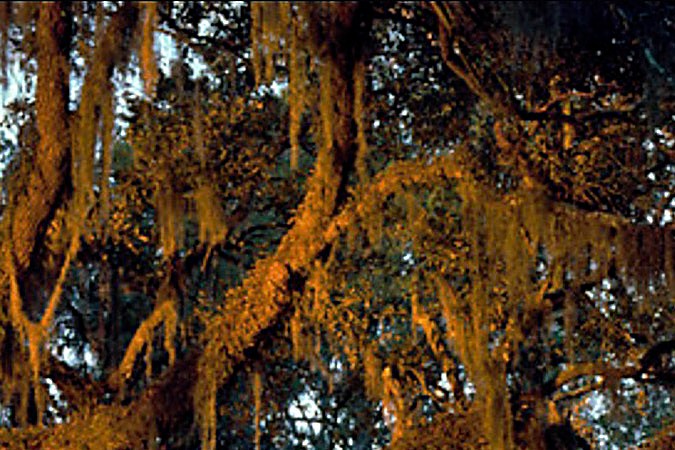 En Georgia se llevará acabo la segunda boda de JLo y Ben Affleck, según TMZ. / Foto de Grosby Group.