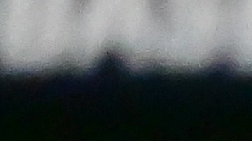 Dominicano Raimel Tapia conecta Grand Slam en victoria de los Blue Jays sobre los Red Sox