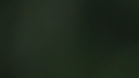 Sergio 'Checo' Pérez espera terminar en el podio del GP de Austria