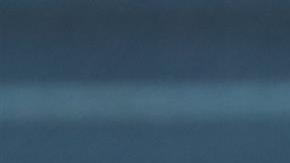 Luis Suárez fue recibido este domingo en Montevideo.