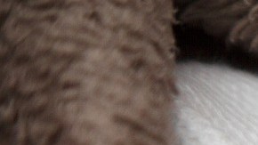 La venta de la bebé se produjo en la ciudad boliviana de Santa Cruz, en el oriente del país.