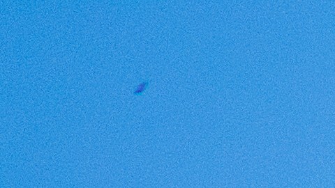 bank-of-america-multa