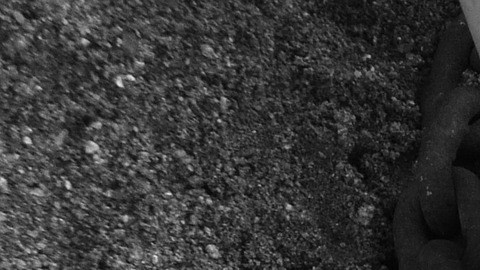 Buscan realizar una disculpa nacional por su papel en la esclavitud.