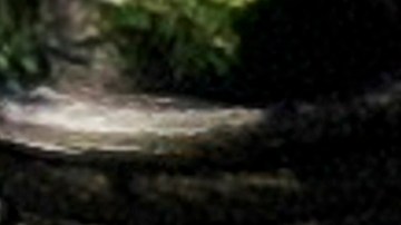 Tiroteo Highland Park