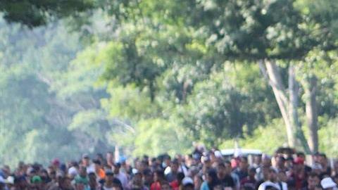 Migrantes