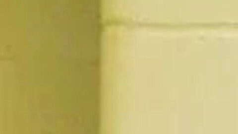 kailie-brackett-mugshot