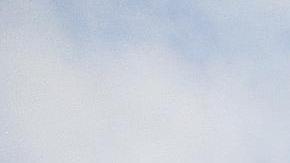 Sheila Seleoane colapsó y murió en el pasillo de su departamento de Peckham en agosto de 2019.