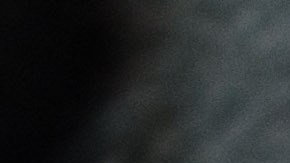 Muere bebé en Nueva Orleans tras ser atacado por el perro de la familia