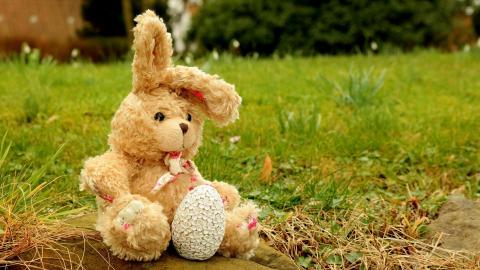Bun-Bun, el conejo de peluche, se reencontró con su dueño.