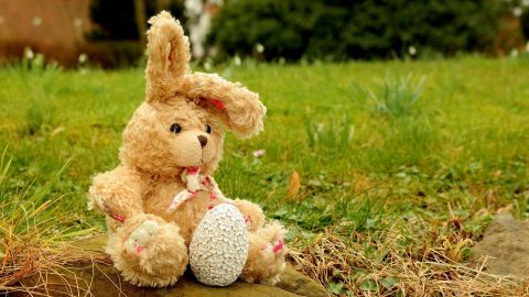 Bun-Bun, el conejo de peluche, se reencontró con su dueño.