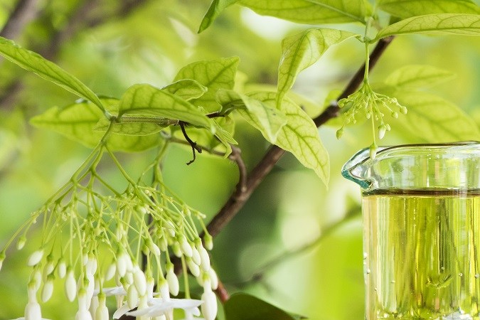 Vinagre de sidra de manzana