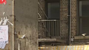 Un reporte de AARP señala que la amplia mayoría de votantes en la ciudad son mayores de 50 años