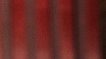 La presentadora Ana Patricia Gámez aseguró que estar en 'Enamorándonos USA' es como estar en México.