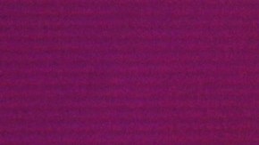 Laura Bozzo exhibió un secreto amoroso de la vida de Salvador Zerboni