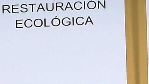 La actriz Irina Baeva y su prometido Gabriel Soto no se casarán por el momento.
