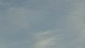 Bus público MTA, Nueva York/Archivo.