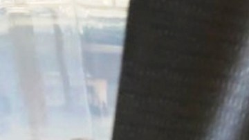 Se calcula que el reptil tiene 9 años de edad.