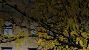 Dykman St, Inwood, NYC.