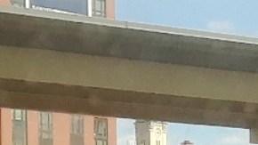 Calor extremo en Nueva York/Archivo.