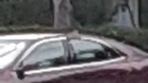 Policía vial de NYC/Archivo.