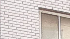 Taxi y unidad de NYPD en una calle de Nueva York.