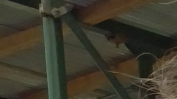 La dominicana Luz Estrella trabajó como asistente domiciliaria por años y aspira una compensación de $400,000