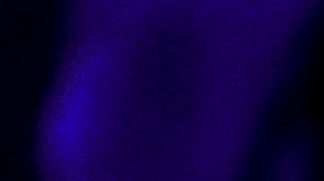 Oleksandr Usyk celebra con la bandera de Ucrania tras vencer a Anthony Joshua.