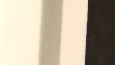 Daniella Navarro asegura que Salvador Zerboni es un "drogadicto"