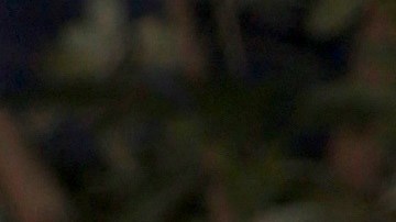 La actriz Daniella Navarro defendió su punta de vista ante las declaraciones de Yolanda Andrade.