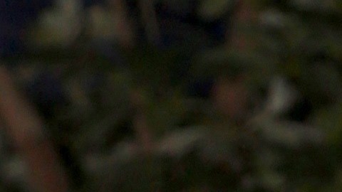 La actriz Daniella Navarro defendió su punta de vista ante las declaraciones de Yolanda Andrade.