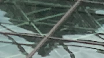 Inquilinos se manifestaron frente a la oficina de Administración de Cortes de NY