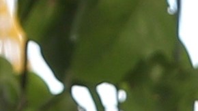 El bailarín Toni Costa recibió una fiesta sorpresa de pre-cumpleaños.