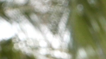 William Valdés, conductor de Venga La Alegría.