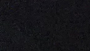 La llegada a Nueva York de los solicitantes de asilo ha generado una crisis.