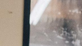 Saúl "Canelo" Álvarez