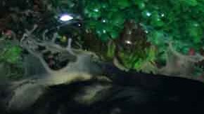 Alfredo Adame no deja causar polémica