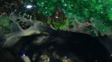 Alfredo Adame no deja causar polémica